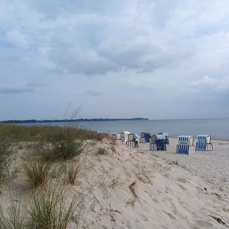 Meeresstrand - Chic & Renoviert! Breege Eksteriør billede